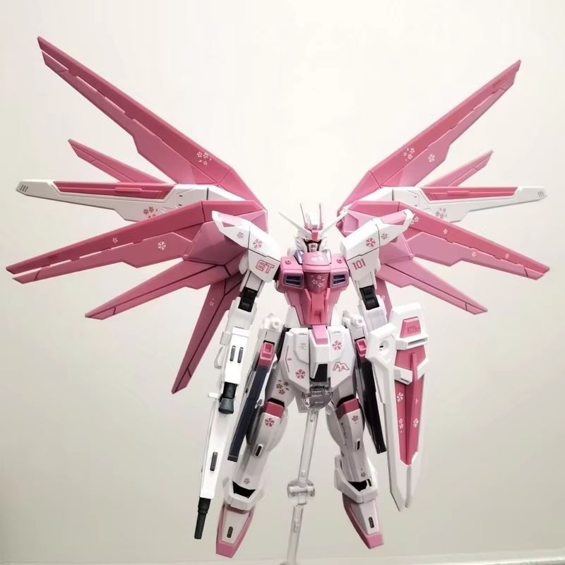 JMS HG 1/144 ZY-06 Freedom Ass - огляд і ціна Bandai Gundam Rg